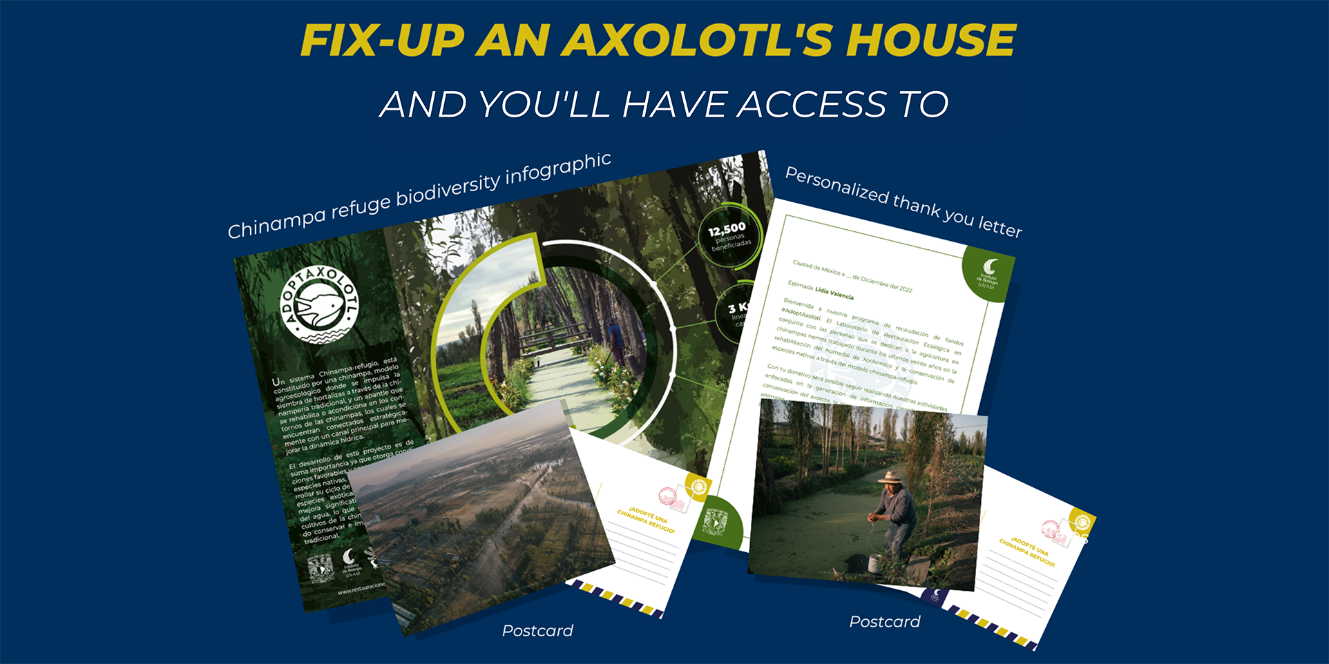 Adoptaxolotl - Adopt a wild-house