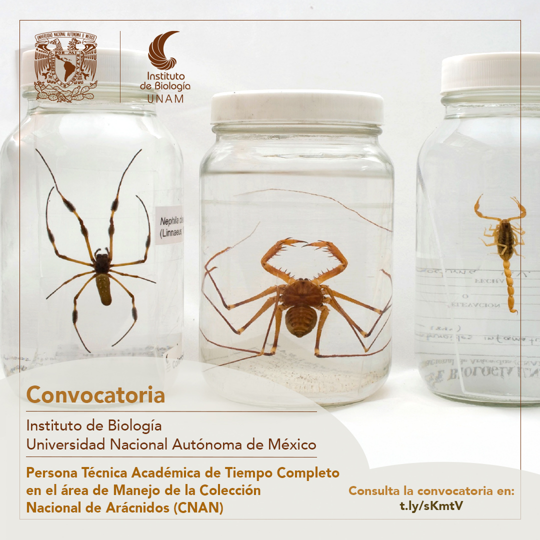 Colección Nacional de Arácnidos (CNAN) - Instituto de Biología, UNAM