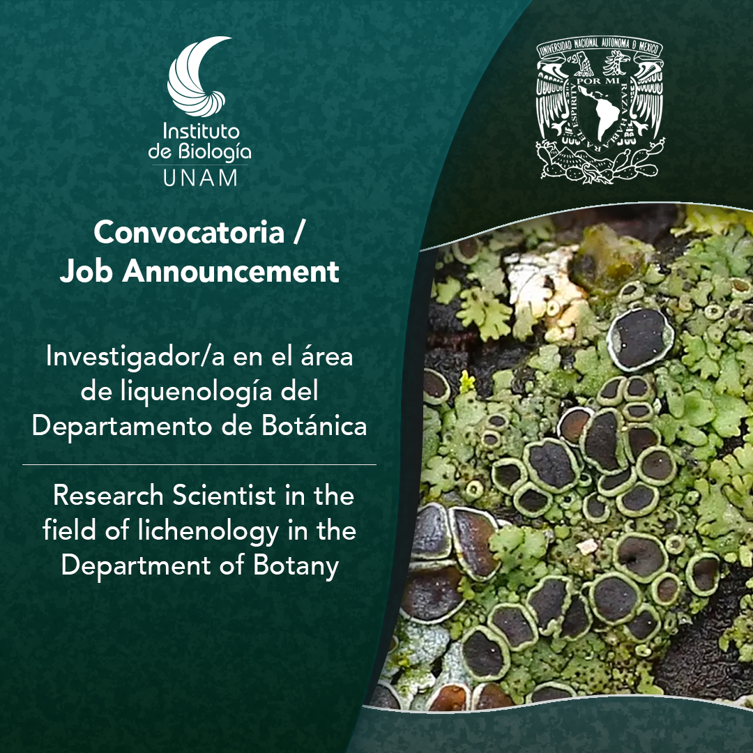 Convocatoria /  Job Announcement : Departamento de Botánica - Investigador/a en el área de liquenología del Departamento de Botánica / Research Scientist in the field of lichenology in the Department of Botany