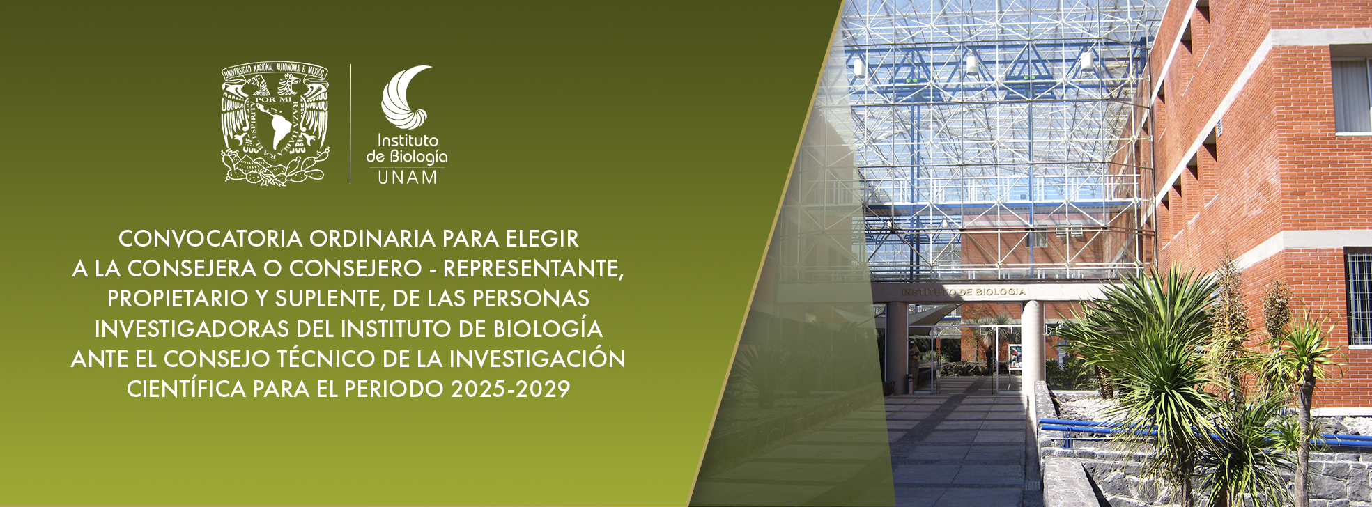 Convocatoria para elegir a las personas consejeras representantes del personal académico del IB ante el CTIC para el periodo 2025-2029 - Instituto de Biología, UNAM