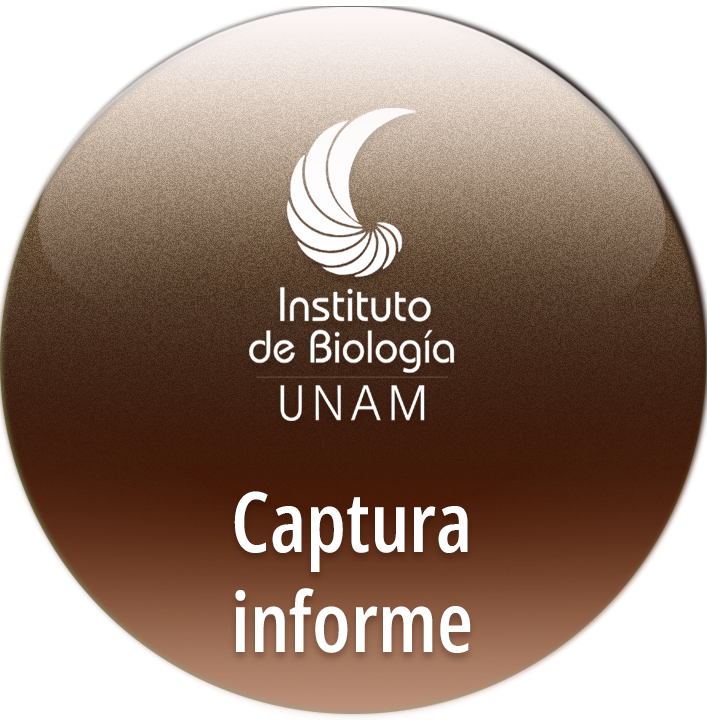  informe anual de actividades académicas - Instituto de Biología, UNAM