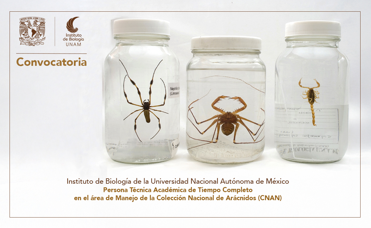Convocatoria - Instituto de Biología, UNAM