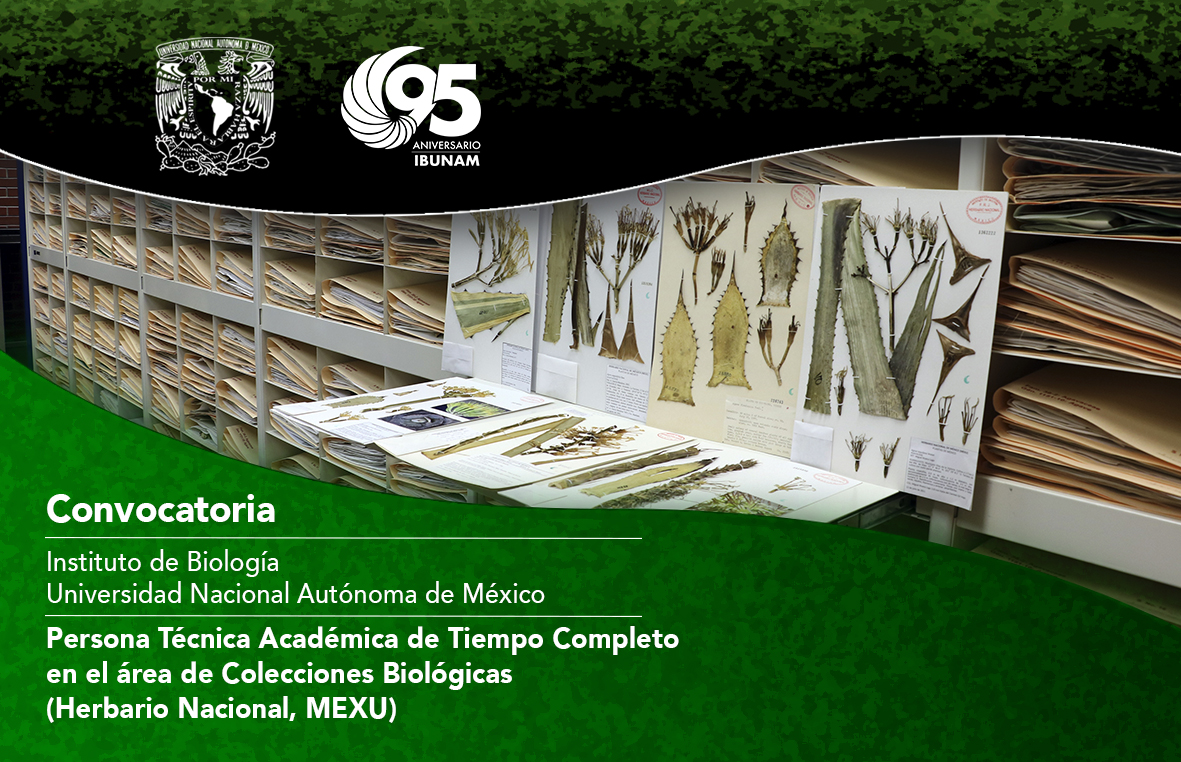 Convocatoria Técnica/o académico - Instituto de Biología, UNAM