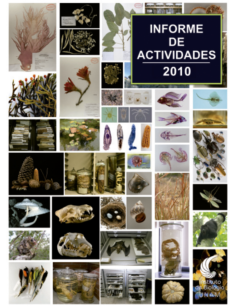 Informe 2010 - Instituto de Biología, UNAM