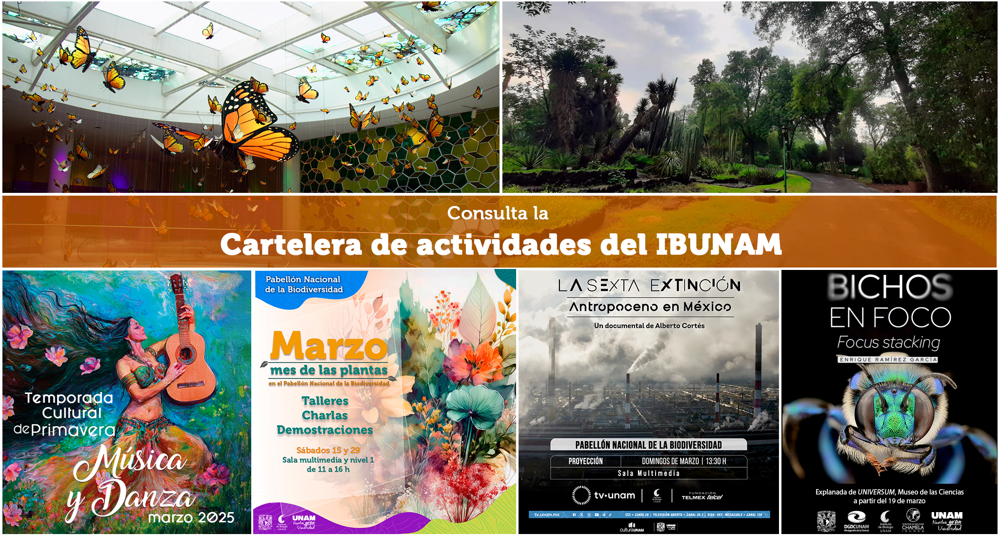 Marzo en el IBUNAM