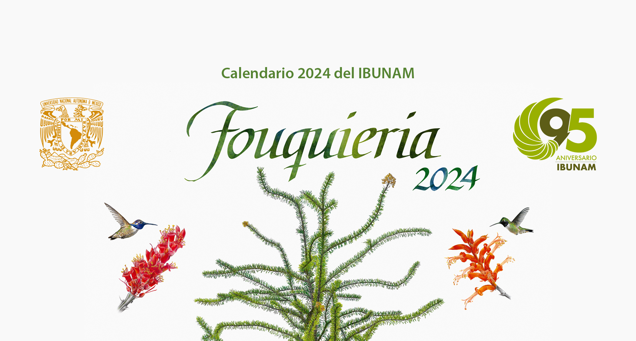 Calendario 2024 del IBUNAM