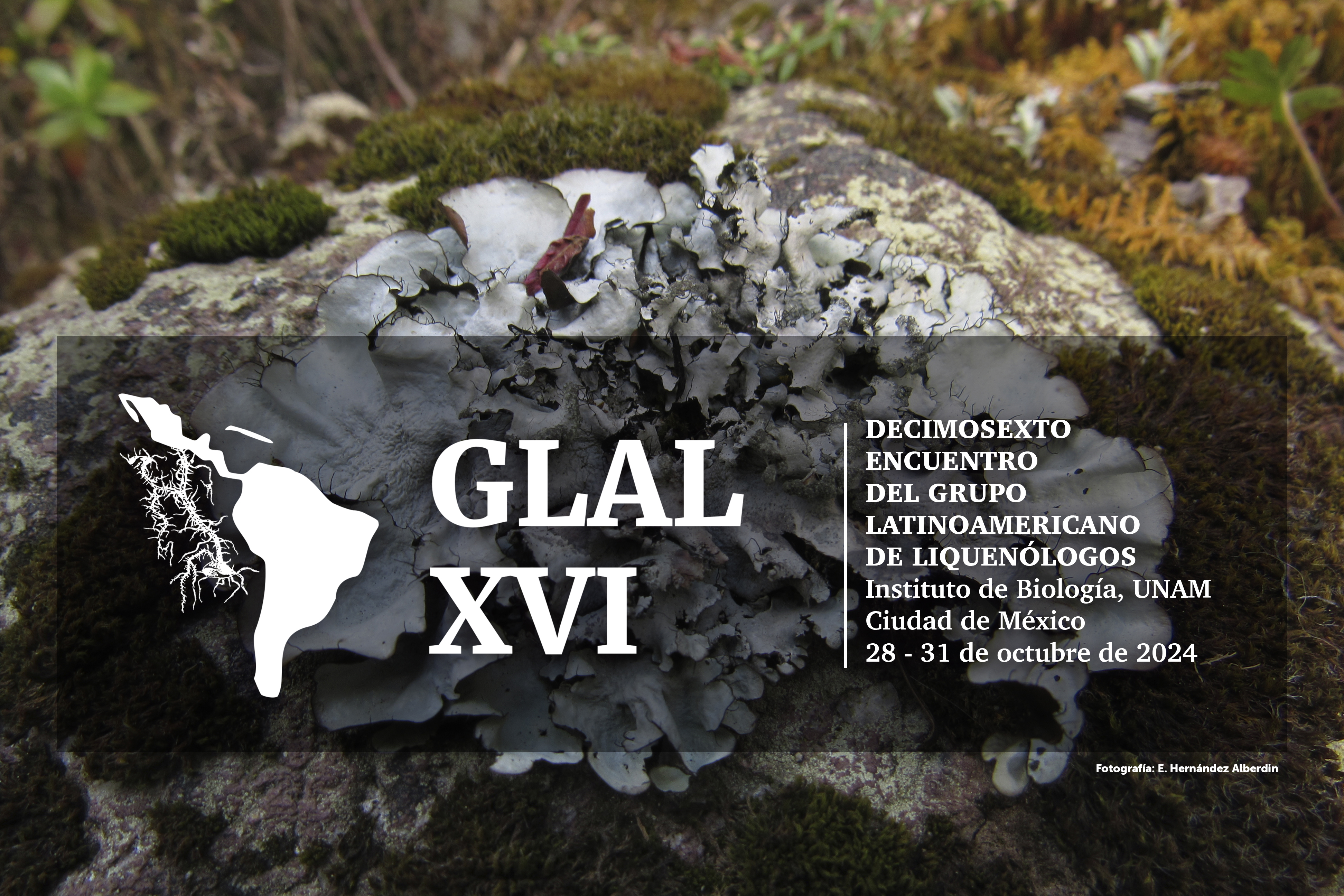 Decimosexto encuentro del Grupo Latinoamericano de Liquenólogos,GLAL XVI