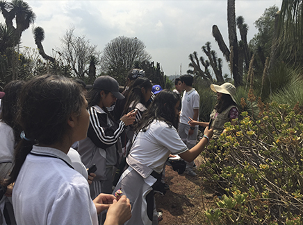 Visita el Jardín Botánico del IBUNAM - Instituto de Biología