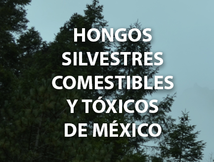 Hongos silvestres comestibles y tóxicos de México - Instituto de Biología