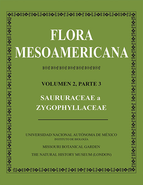 Flora Mesoamericana Volumen 2,
Parte 2. Piperaceae - Instituto de Biología, UNAM
