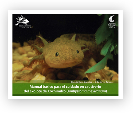 Manual básico para el cuidado
en cautiverio del axolote de Xochimilco
(Ambystoma mexicanum) - Instituto de Biología, UNAM