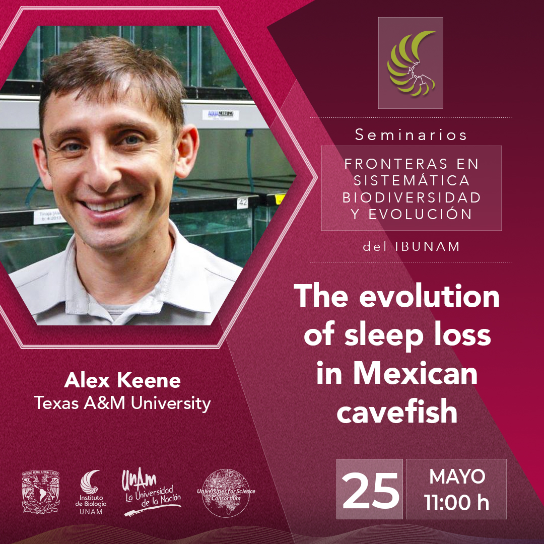 The evolution of sleep loss  in Mexican cavefish - Instituto de Biología, UNAM