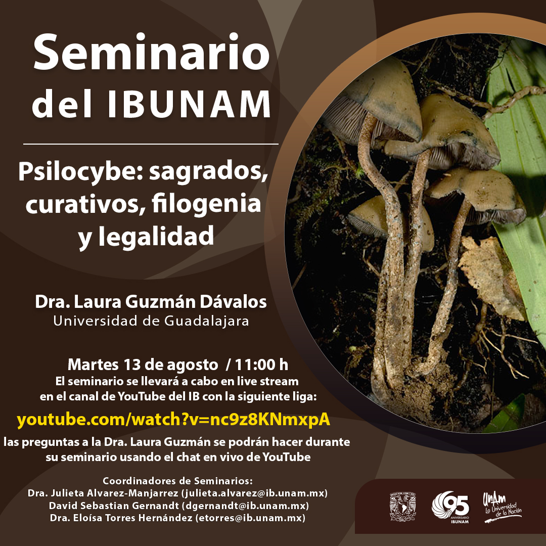 Psilocybe: sagrados, curativos, filogenia  y legalidad - Instituto de Biología, UNAM