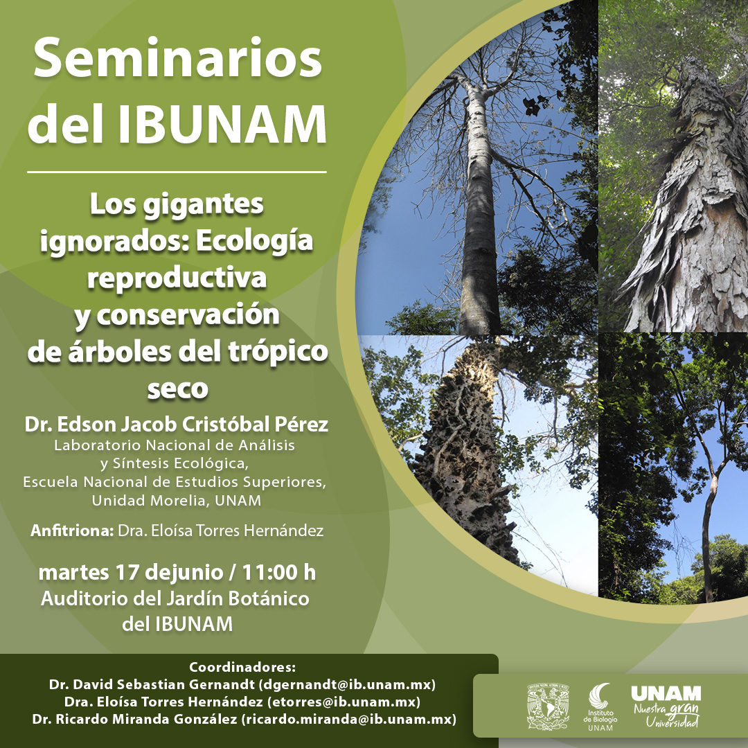 Los gigantes ignorados: Ecología reproductiva  y conservación de árboles del trópico seco - Instituto de Biología, UNAM