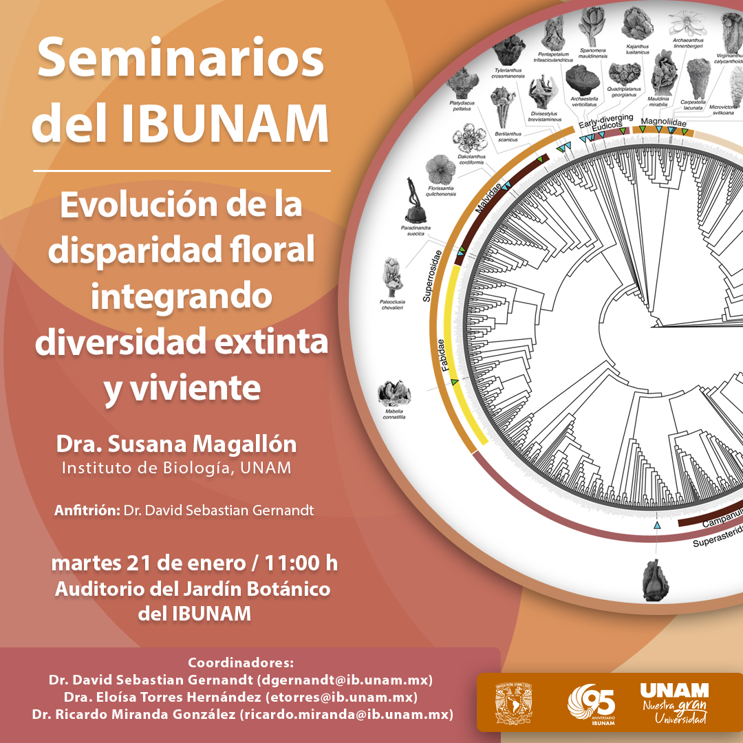 Evolución de la disparidad floral integrando diversidad extinta y viviente - Instituto de Biología, UNAM