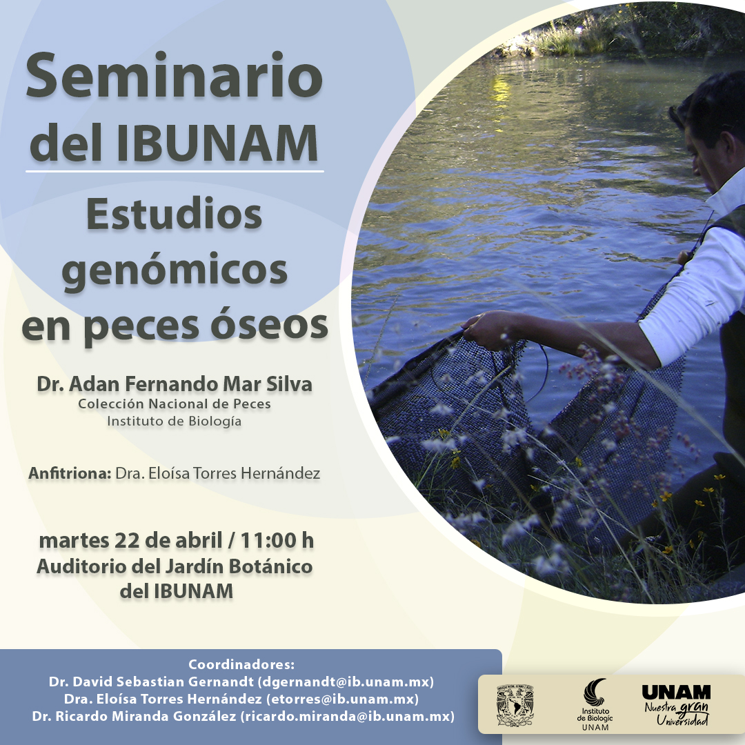 Estudios  genómicos  en peces óseos  - Instituto de Biología, UNAM
