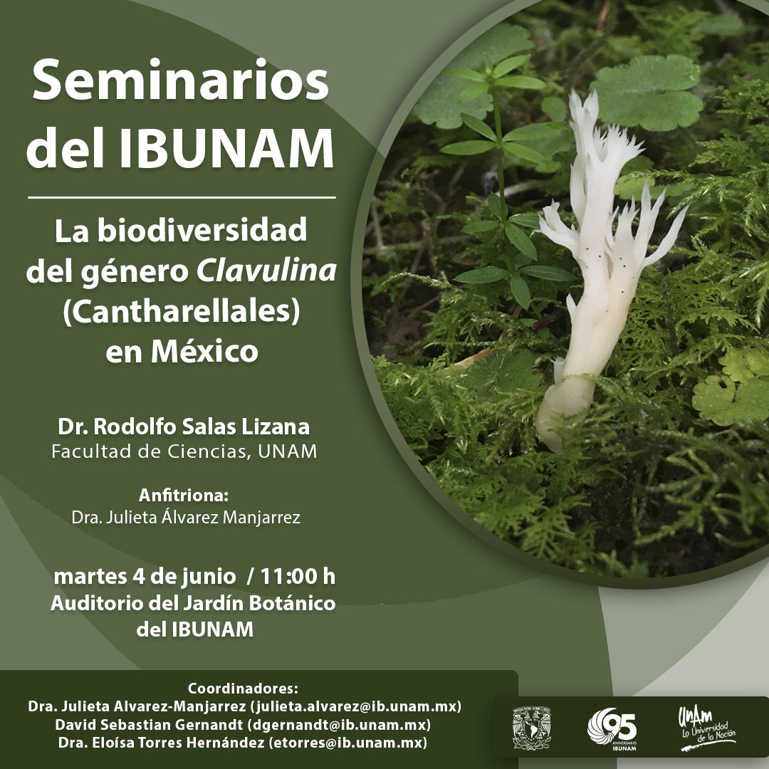 La biodiversidad  del género Clavulina (Cantharellales) en México - Instituto de Biología, UNAM