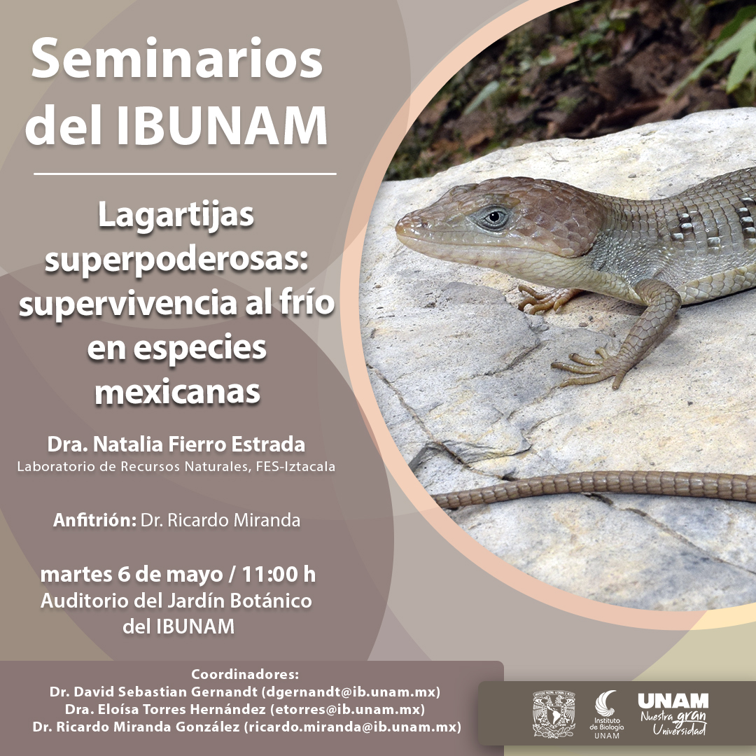 Lagartijas superpoderosas: supervivencia al frío en especies mexicanas - Instituto de Biología, UNAM