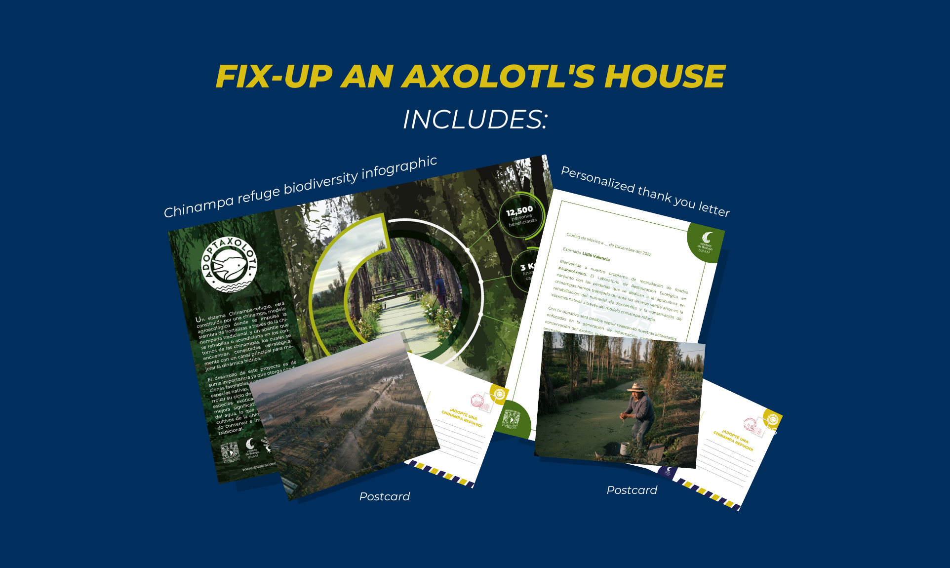 Adoptaxolotl - Adopt a refuge: Pimp-up an axolotl house