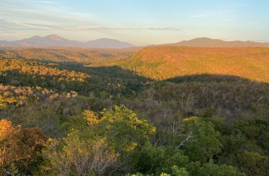 Reserva de la Biosfera:  - 